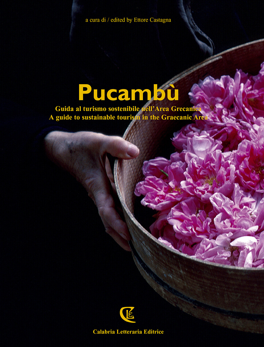 2014 Pucambu cover BASSA